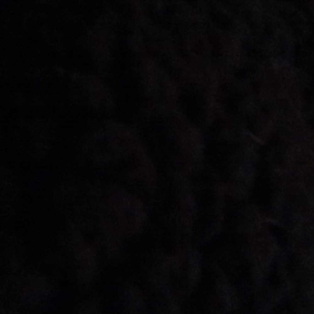 Meet your Posher, Reyes